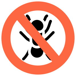 Ant Control Caboolture