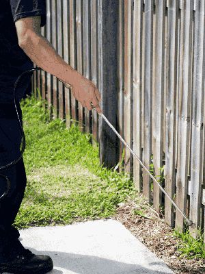 DIY vs. Professional Pest Control: What Works Best in Moreton Bay?