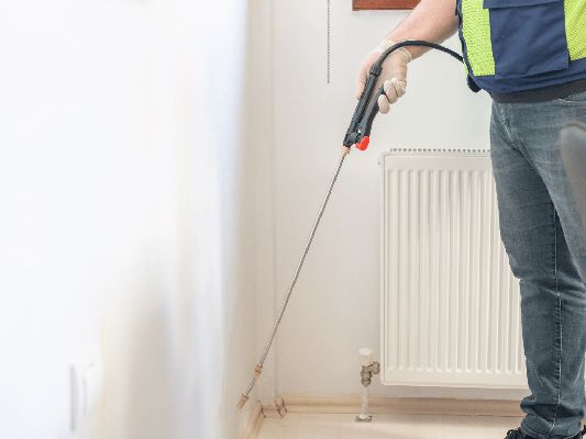 Pest-Proofing Your Home: Essential Tips for the Wet Season