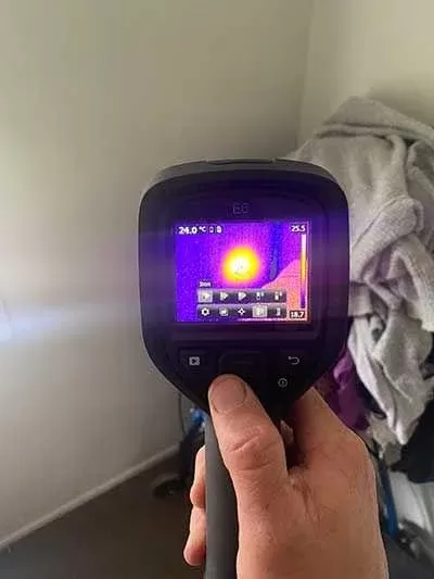 Brisbane North Pest Control: Expertise and Experience