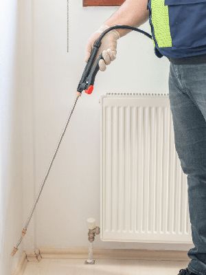 Pest-Proofing Your Home: Essential Tips for the Wet Season