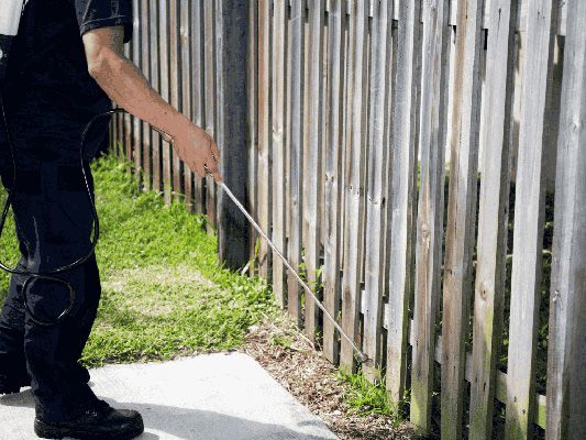 DIY vs. Professional Pest Control: What Works Best in Moreton Bay?