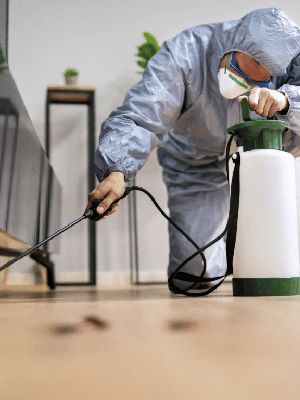 Preparing Your Home for Spring: Key Pest Control Tips