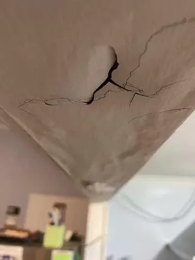 Brisbane North Pest Control: Timely and Reliable Service