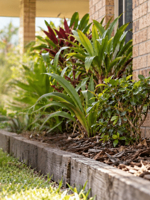 Could Your Landscaping Increase Termite Risk in Caboolture